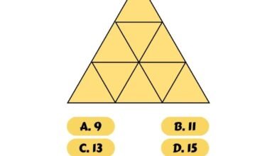 كم عدد المثلثات؟