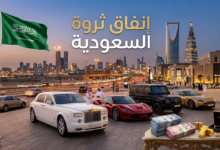 محاكي إنفاق ثروة السعودية